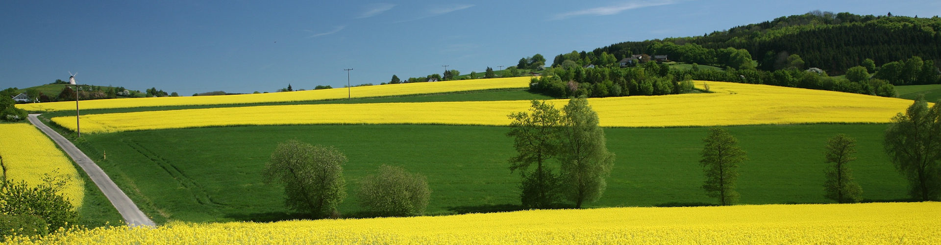 Agriculture : 3600 scientifiques dénoncent la PAC européenne