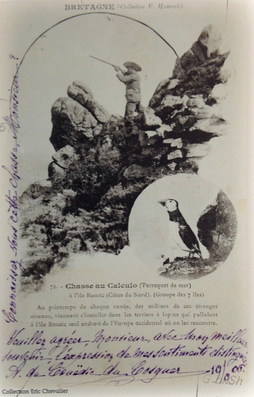 Carte postale : la chasse au Calculo avant la LPO