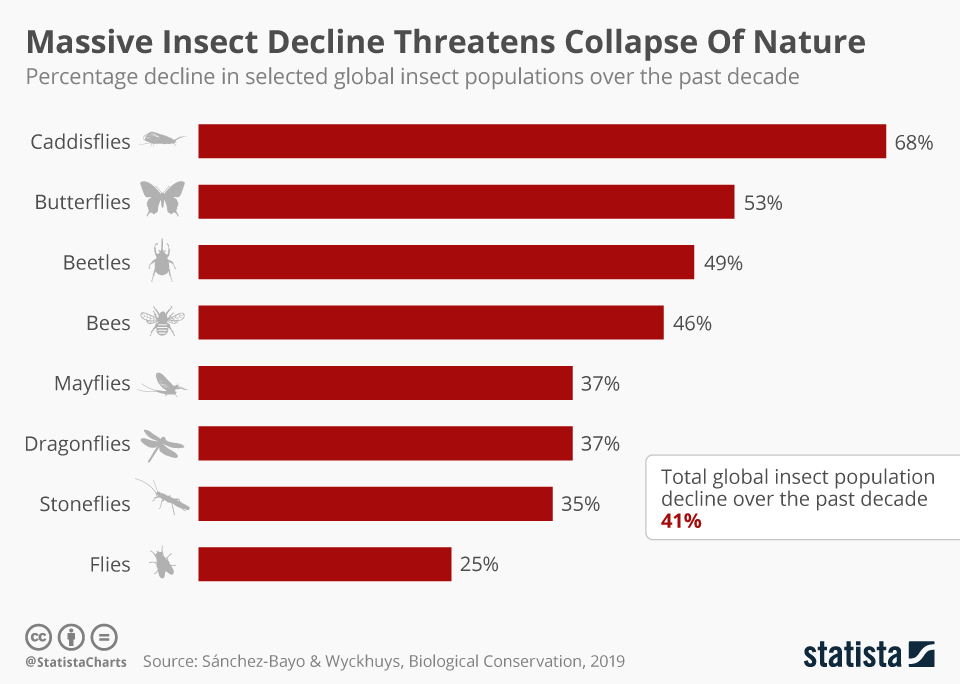 déclin insectes statista