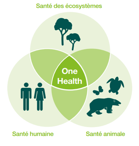 santé écosystèmes