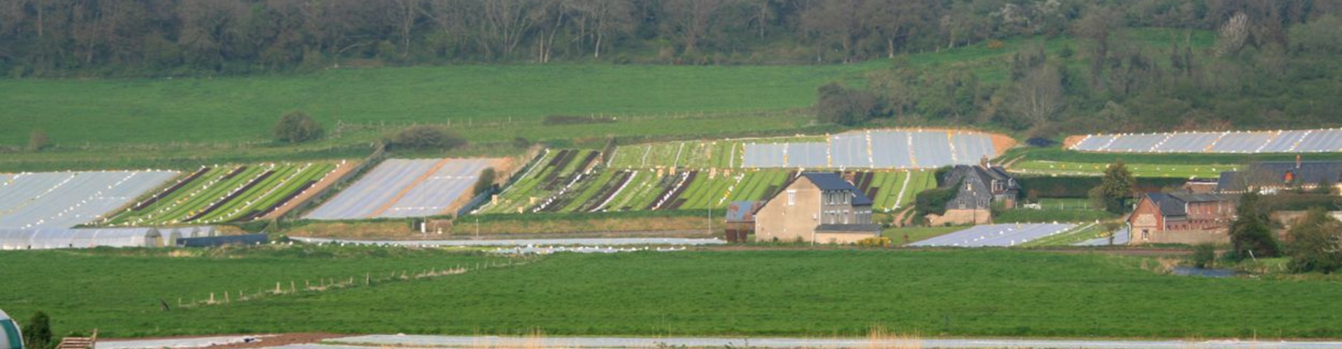 Les prédateurs comme alternative aux pesticides