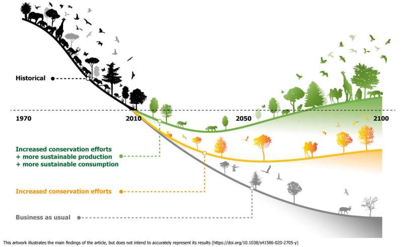 amnésie environnementale